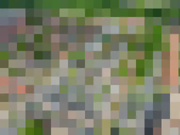 Rozenplein 64 Ede thumbnail 36