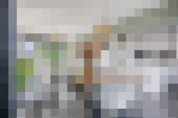Rozenplein 64 Ede thumbnail 6