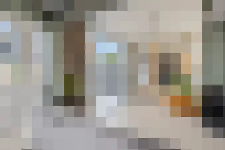Rozenplein 64 Ede thumbnail 8
