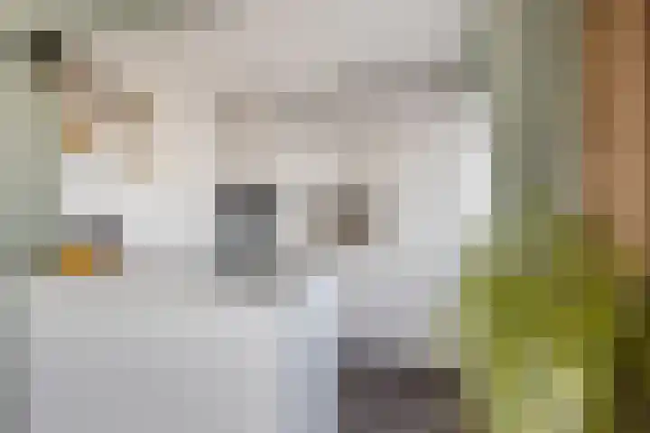 Rozenplein 64 Ede thumbnail 9