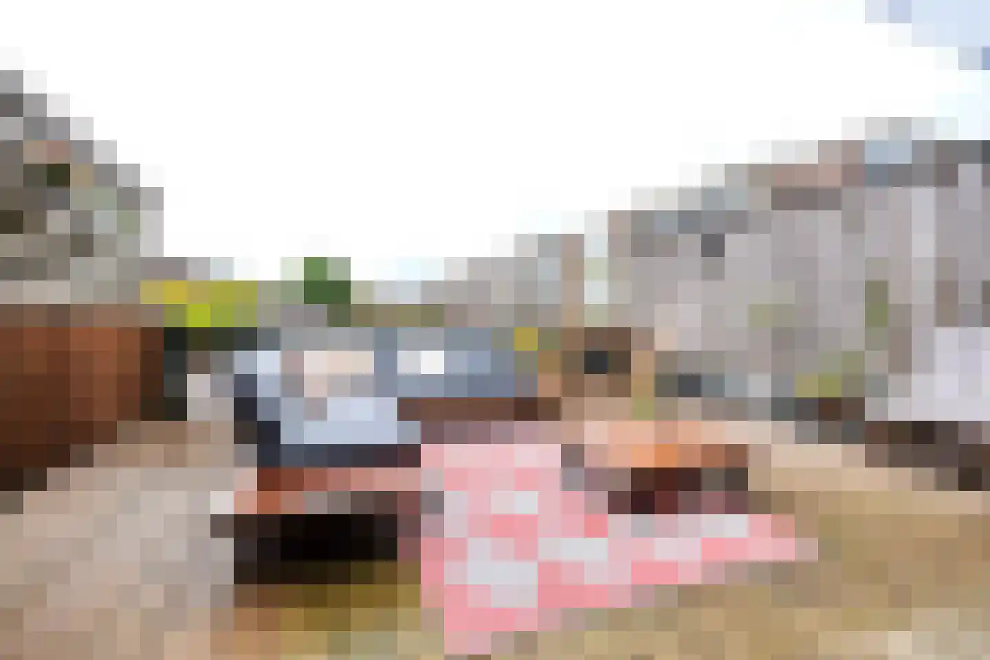 Rozenplein 72 Ede thumbnail 13