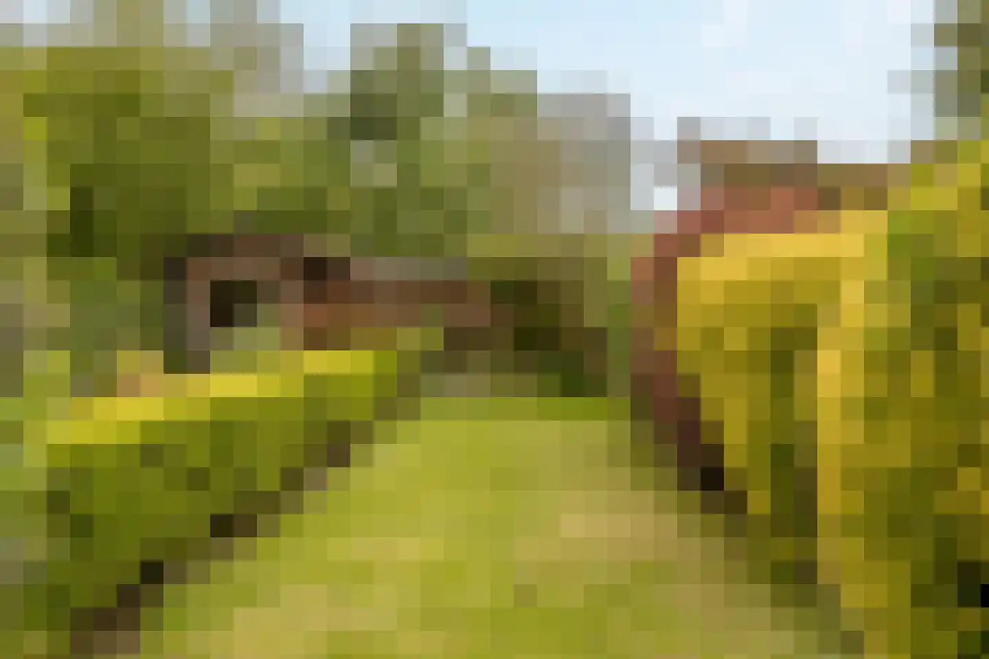 Rozenplein 9 Wassenaar thumbnail 20