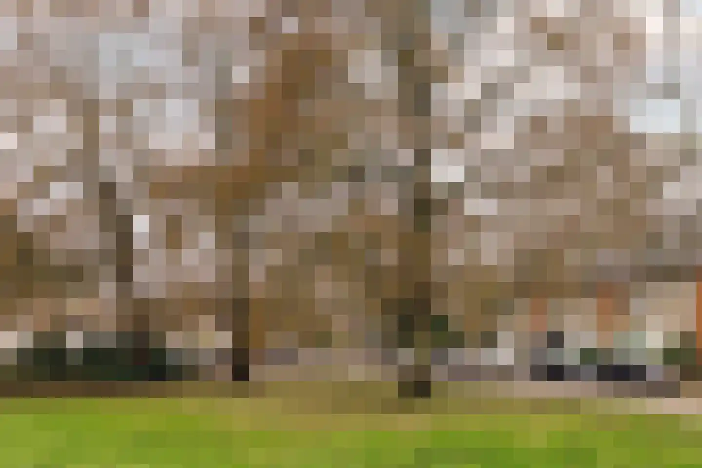 Rozenplein 9 Wassenaar thumbnail 38
