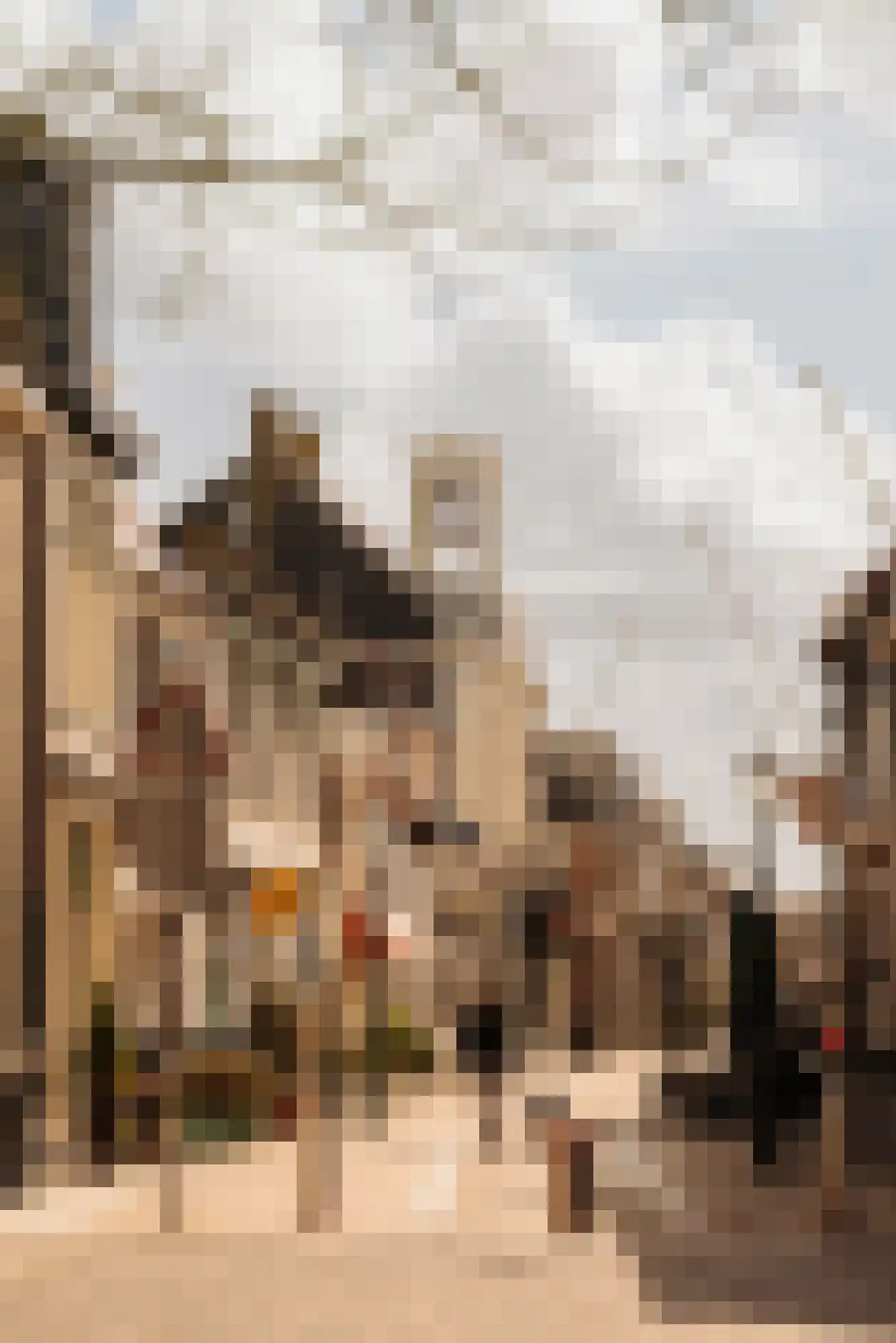 Rozenplein 9 Wassenaar thumbnail 38