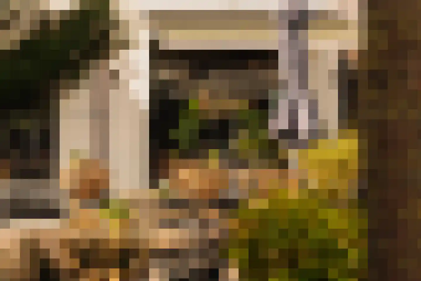 Rozenplein 9 Wassenaar thumbnail 39