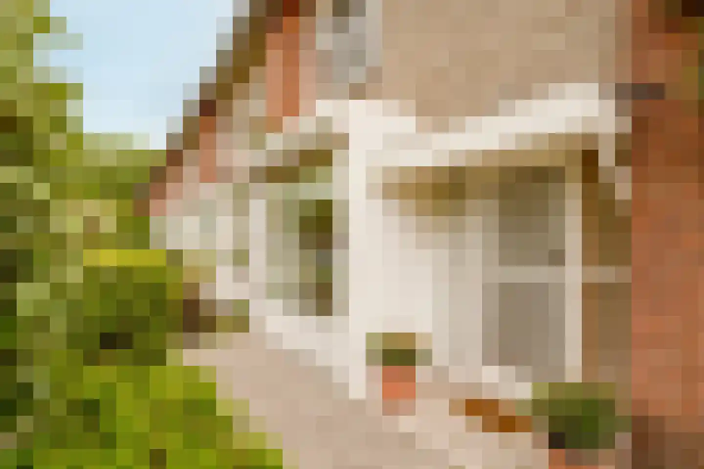 Rozenplein 9 Wassenaar thumbnail 4