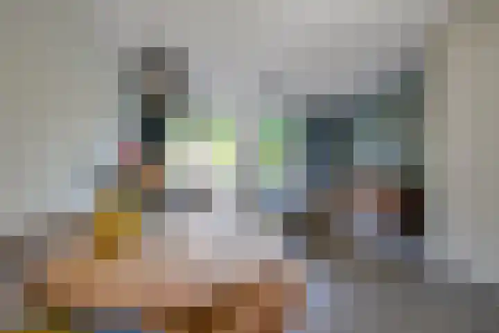 Rozensingel 15 Woudenberg thumbnail 10