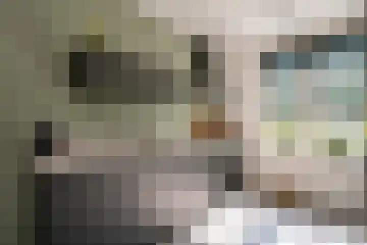 Rozensingel 15 Woudenberg thumbnail 14