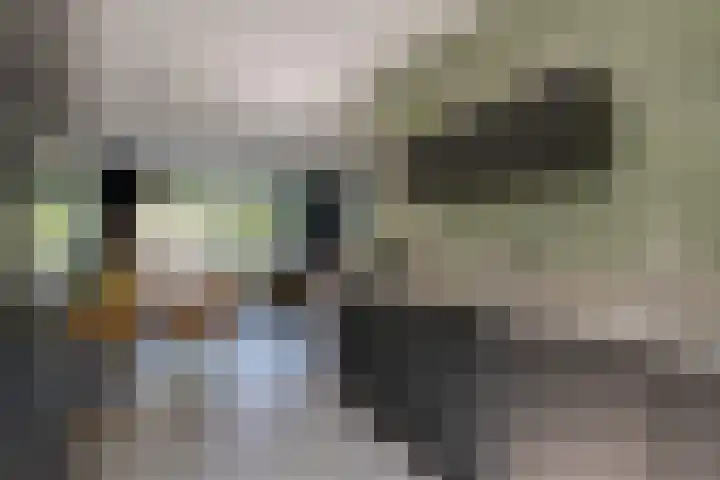Rozensingel 15 Woudenberg thumbnail 16