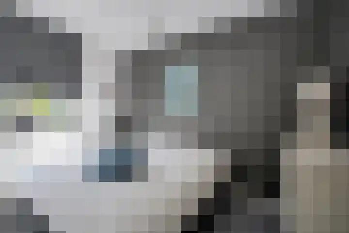 Rozensingel 15 Woudenberg thumbnail 19