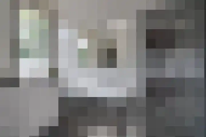 Rozensingel 15 Woudenberg thumbnail 23