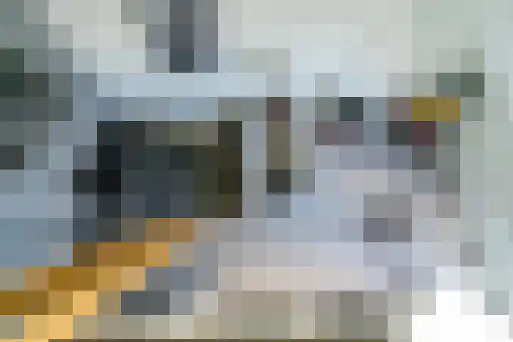 Rozensingel 15 Woudenberg thumbnail 24