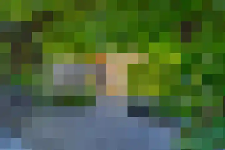 Rozensingel 15 Woudenberg thumbnail 27