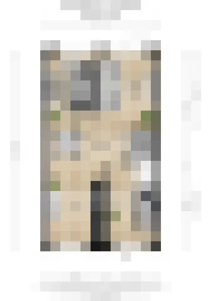 Rozensingel 15 Woudenberg thumbnail 29