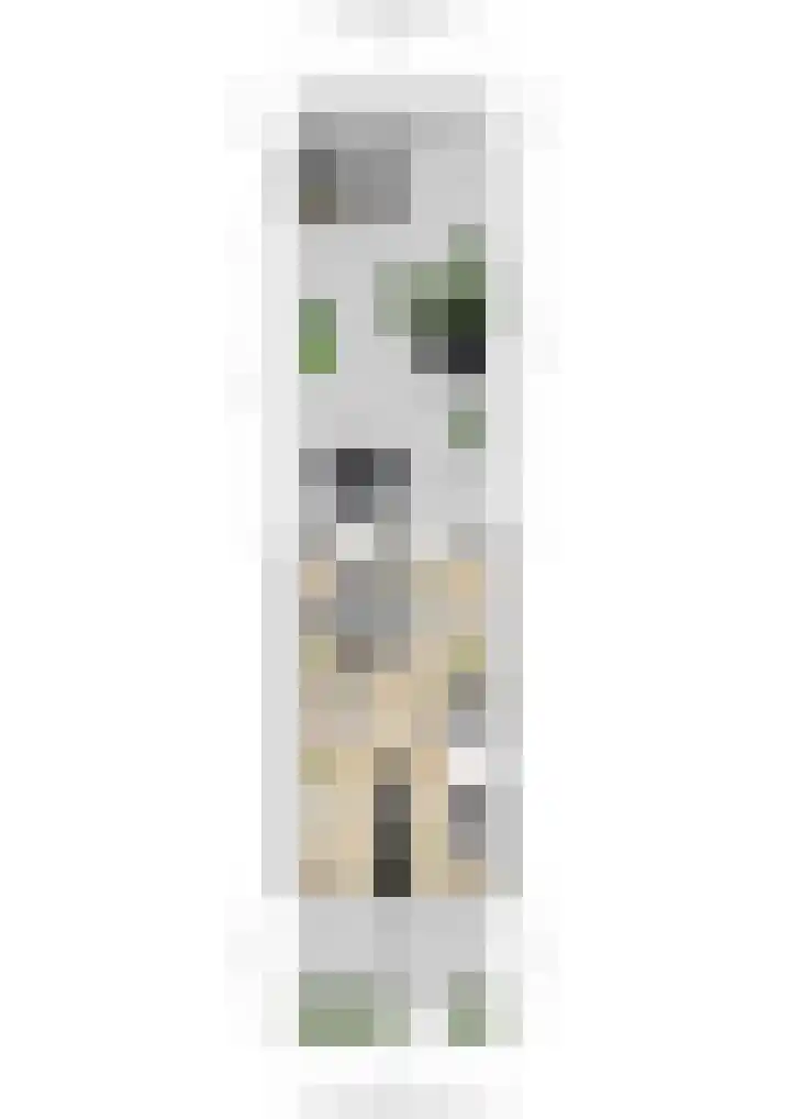 Rozensingel 15 Woudenberg thumbnail 33