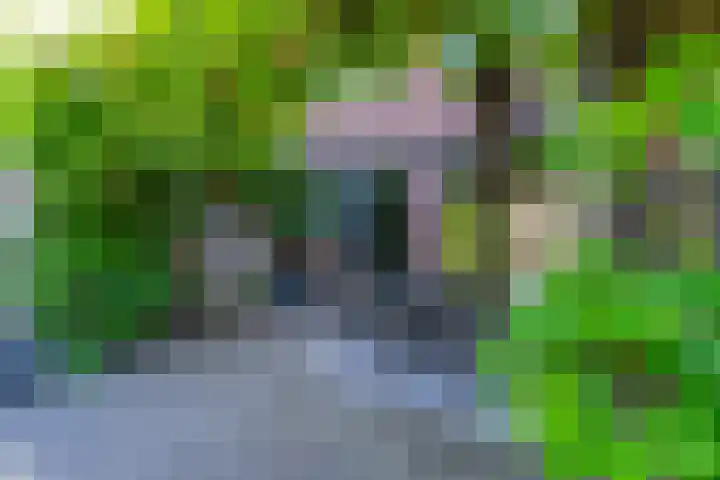 Rozensingel 15 Woudenberg thumbnail 4