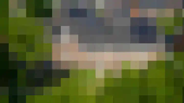 Rozensingel 15 Woudenberg thumbnail 5