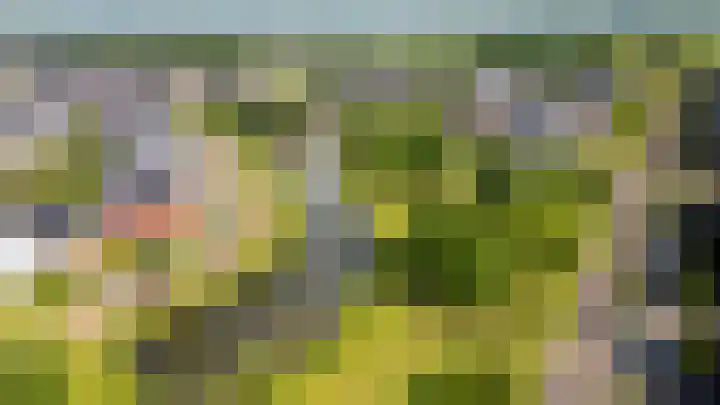 Rozensingel 15 Woudenberg thumbnail 6
