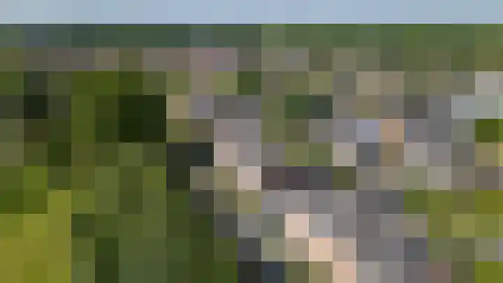 Rozensingel 15 Woudenberg thumbnail 7