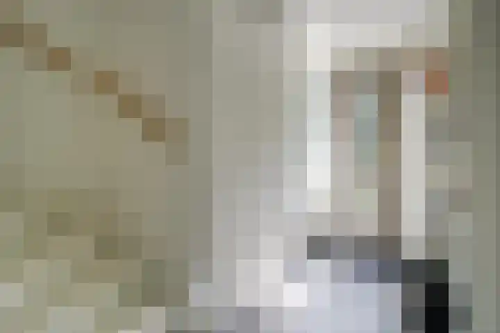 Rozensingel 15 Woudenberg thumbnail 8