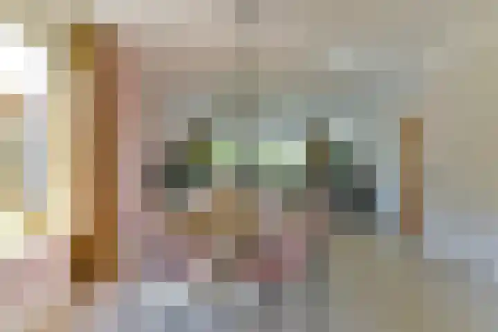 Rozensingel 29 Woudenberg thumbnail 21