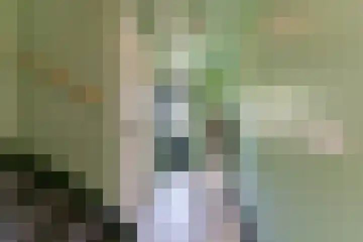 Rozensingel 29 Woudenberg thumbnail 22