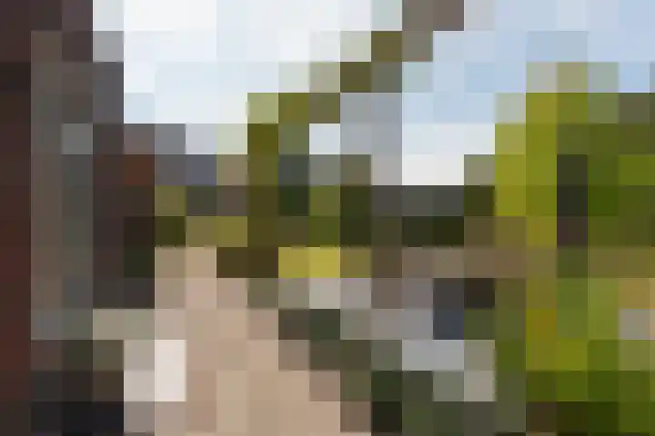 Rozensingel 29 Woudenberg thumbnail 42
