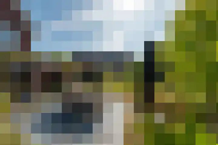 Rozensingel 29 Woudenberg thumbnail 44