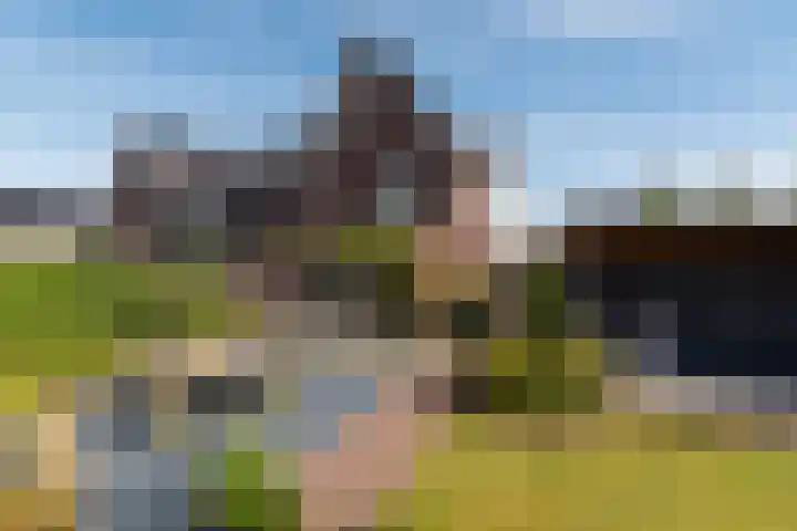 Rozensingel 29 Woudenberg thumbnail 45