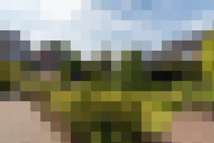 Rozensingel 29 Woudenberg thumbnail 46