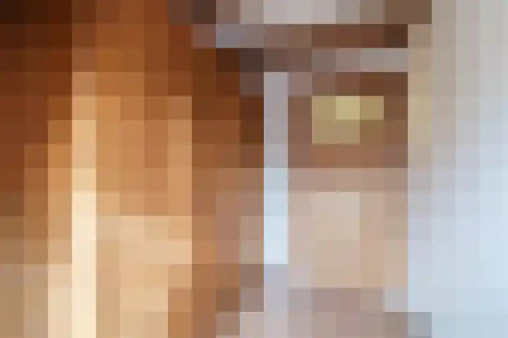 Rozensteinstraat 2 E Wassenaar thumbnail 36