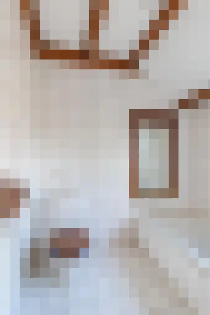 Rozensteinstraat 2 E Wassenaar thumbnail 39