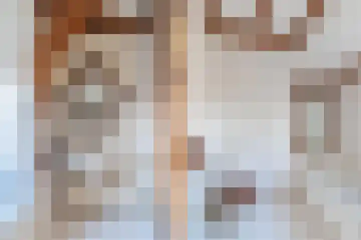 Rozensteinstraat 2 E Wassenaar thumbnail 40