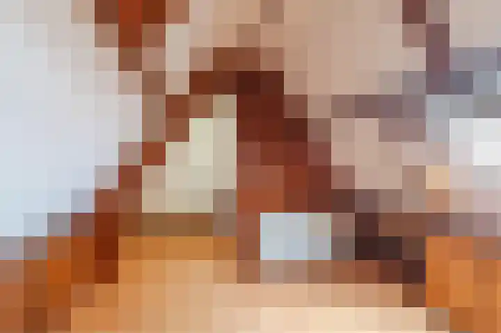 Rozensteinstraat 2 E Wassenaar thumbnail 44