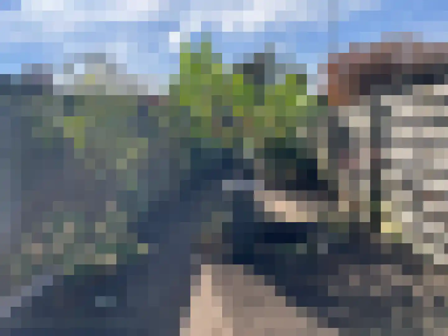 Rozenstraat 1 Almelo thumbnail 30
