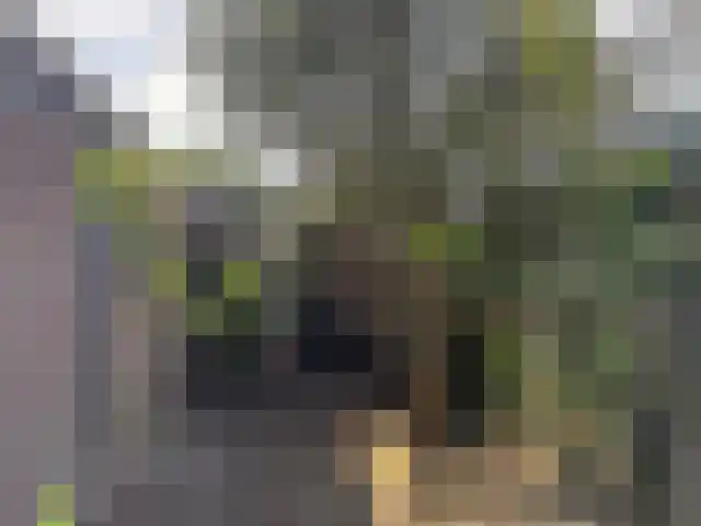 Rozenstraat 1 Almelo thumbnail 32