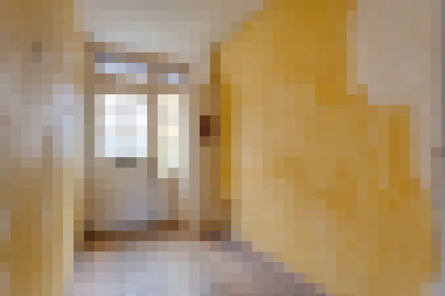 Rozenstraat 1 Almelo thumbnail 7