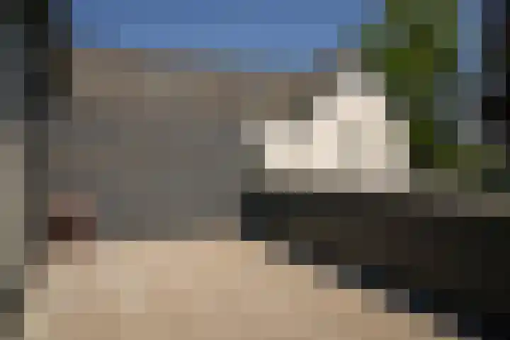 Rozenstraat 1 c Dodewaard thumbnail 21
