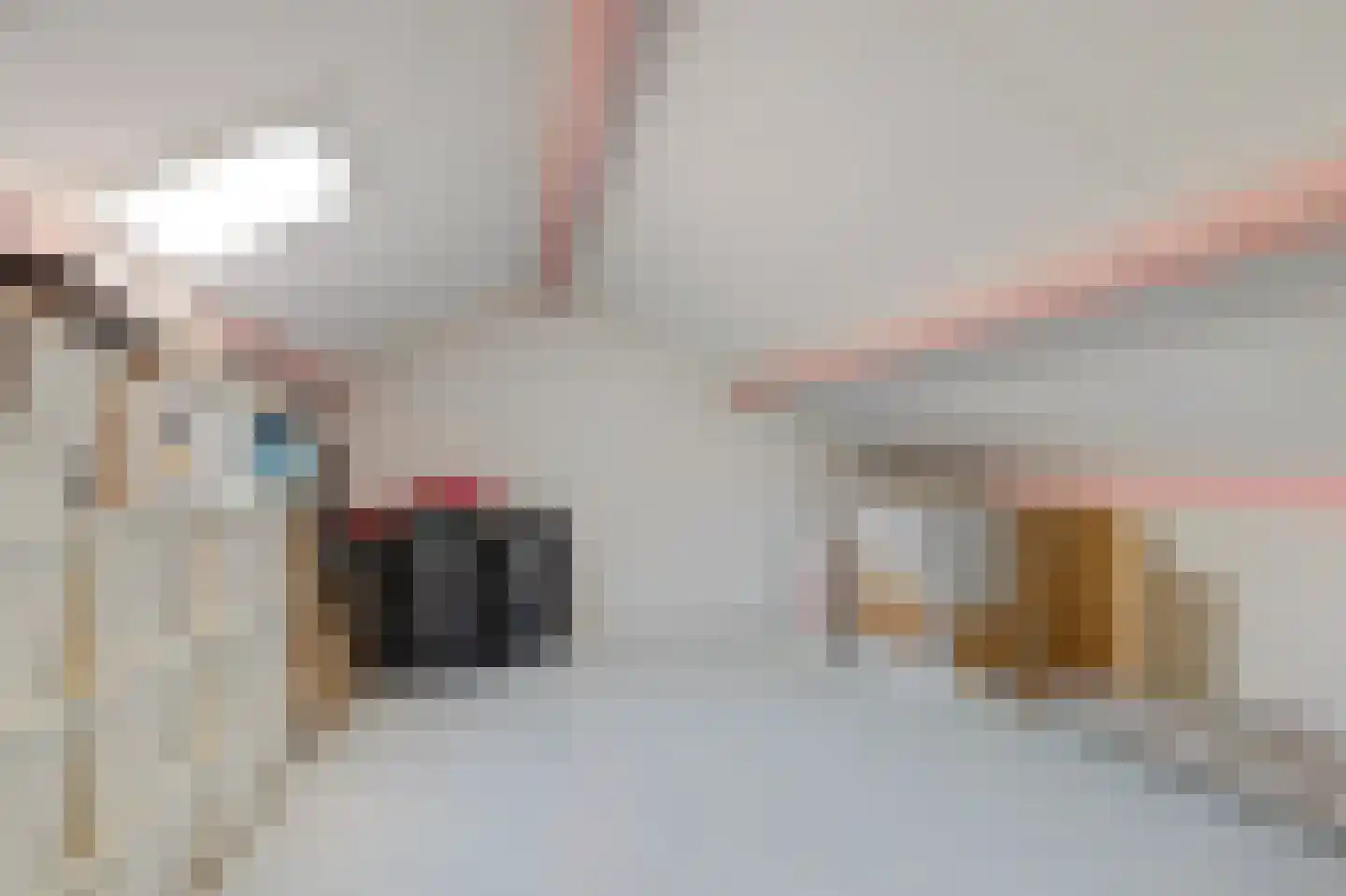 Rozenstraat 1 Colijnsplaat thumbnail 27