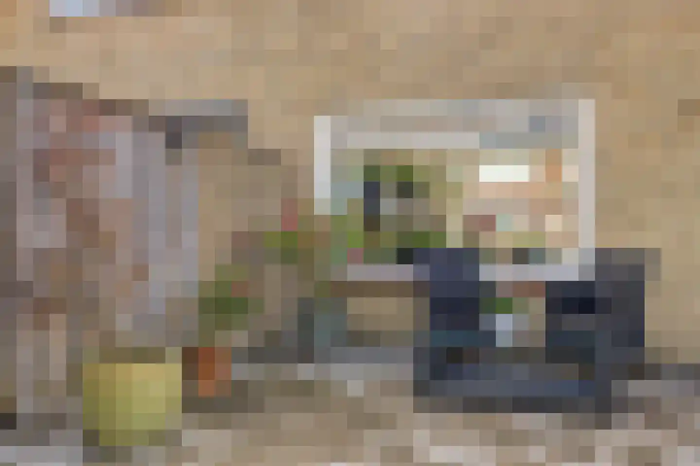 Rozenstraat 1 Colijnsplaat thumbnail 31