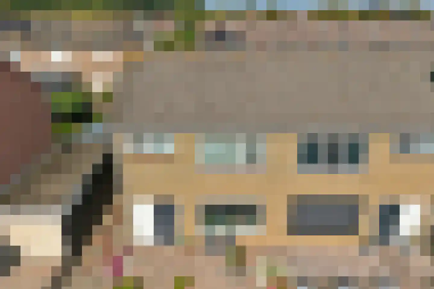 Rozenstraat 1 Colijnsplaat thumbnail 35