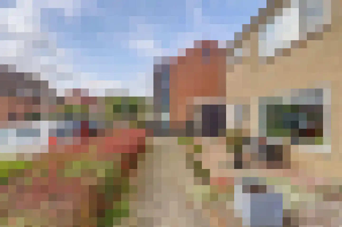 Rozenstraat 1 Colijnsplaat thumbnail 39