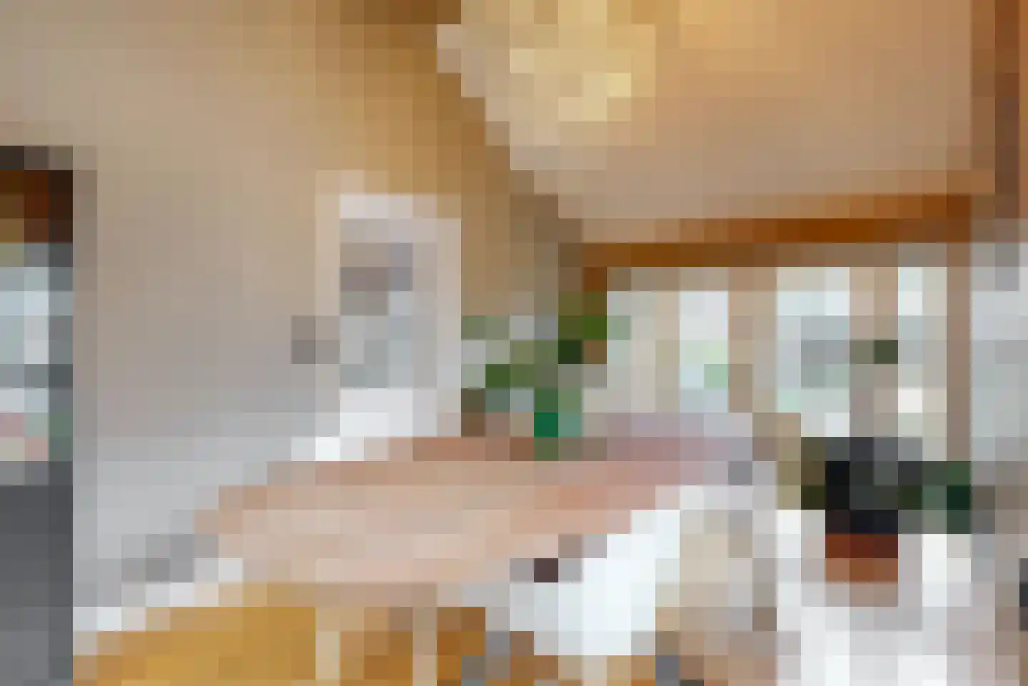 Rozenstraat 1 Purmerend thumbnail 11