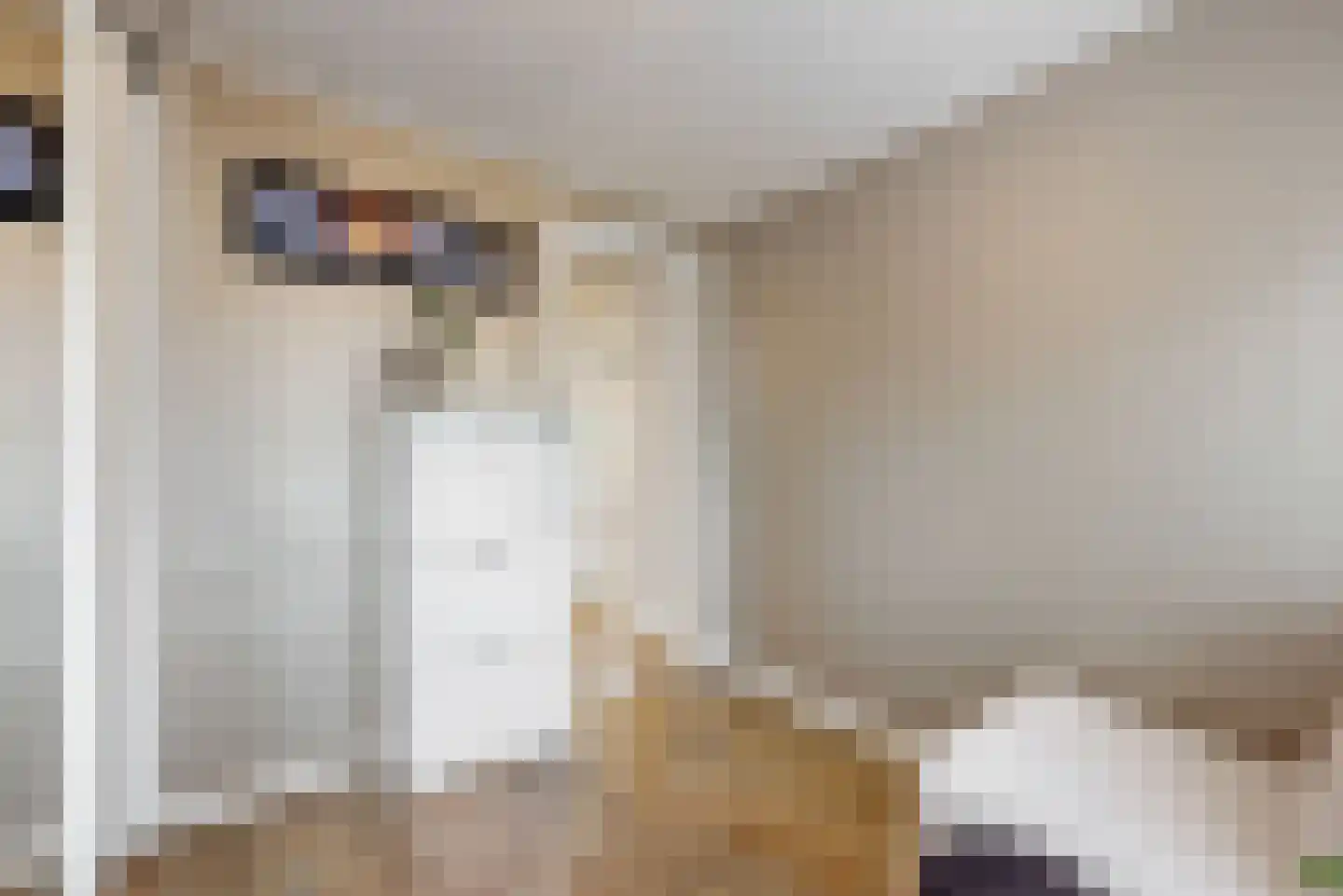 Rozenstraat 1 Purmerend thumbnail 27