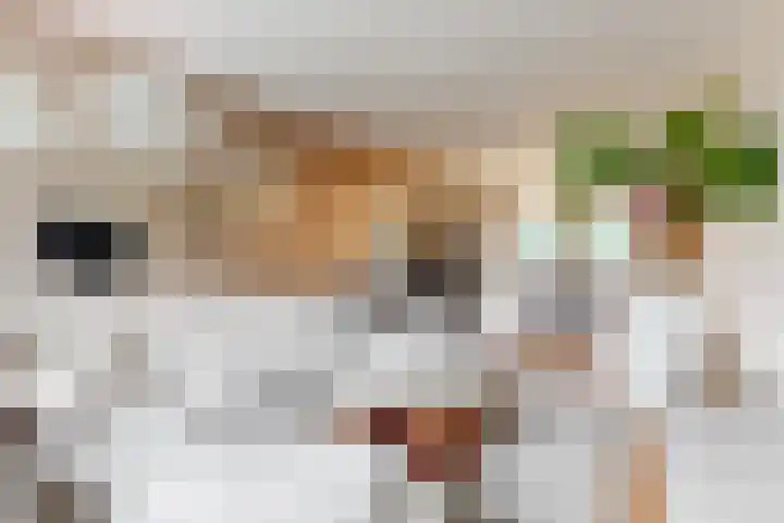 Rozenstraat 1 Purmerend thumbnail 4