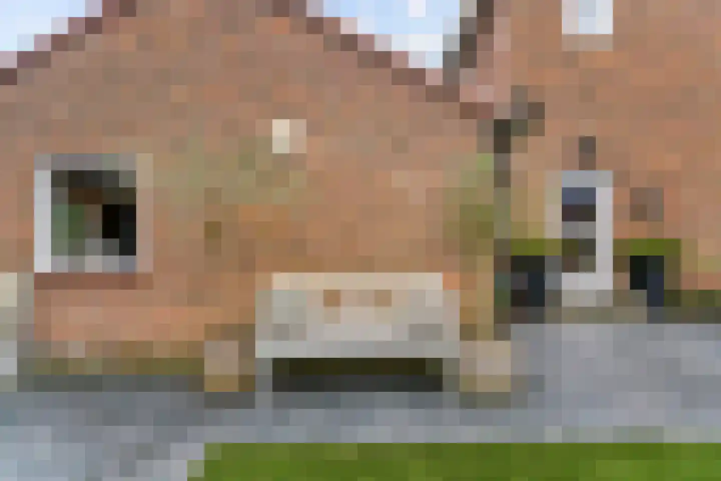 Rozenstraat 1 Purmerend thumbnail 46
