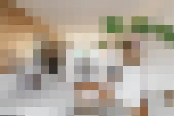 Rozenstraat 1 Purmerend thumbnail 5