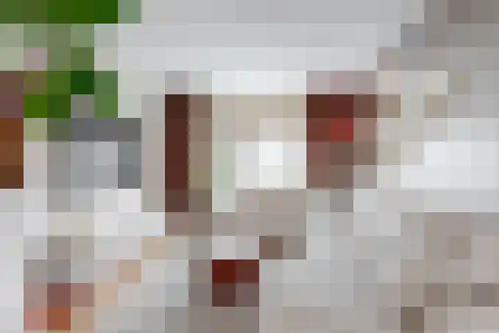 Rozenstraat 1 Purmerend thumbnail 6