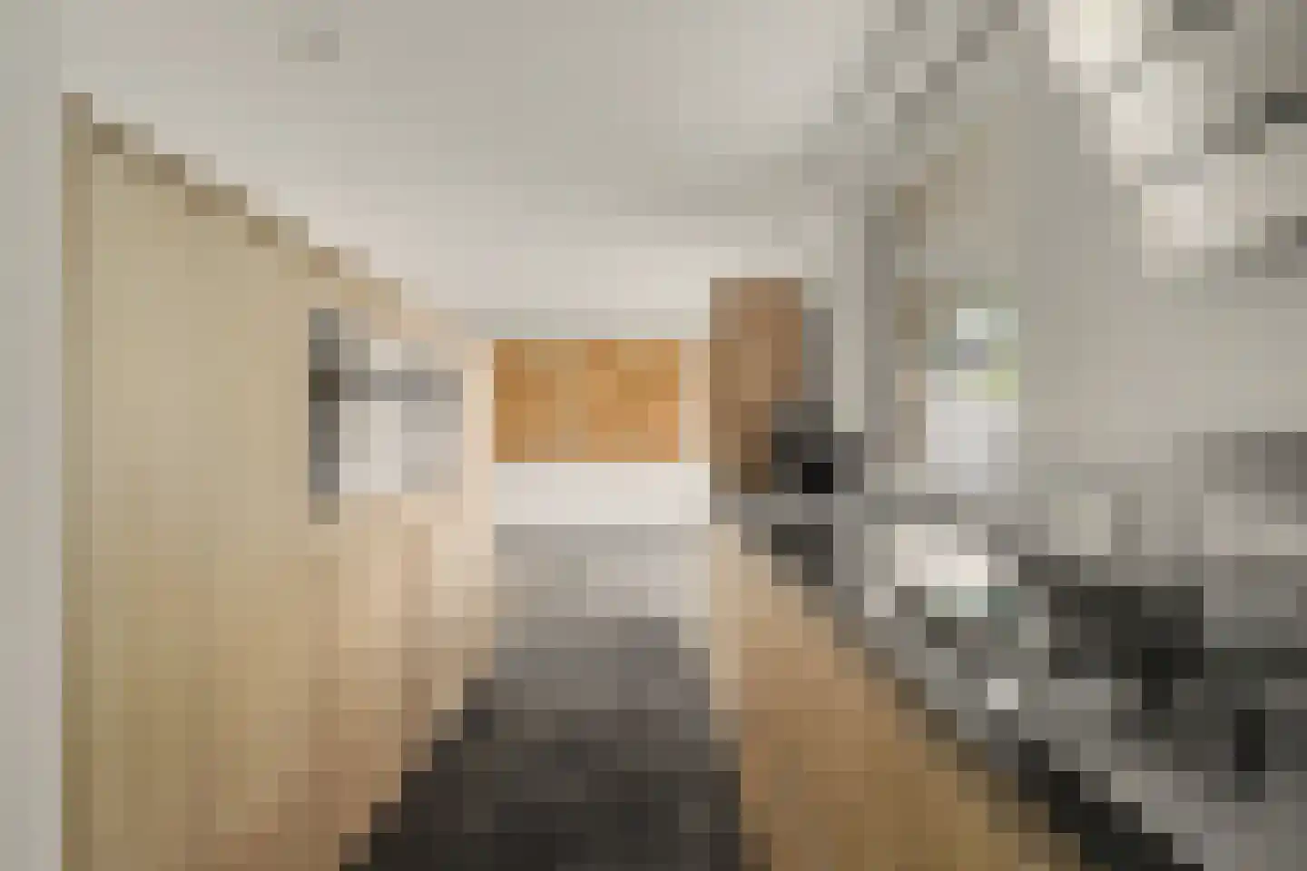 Rozenstraat 1 Putte thumbnail 11