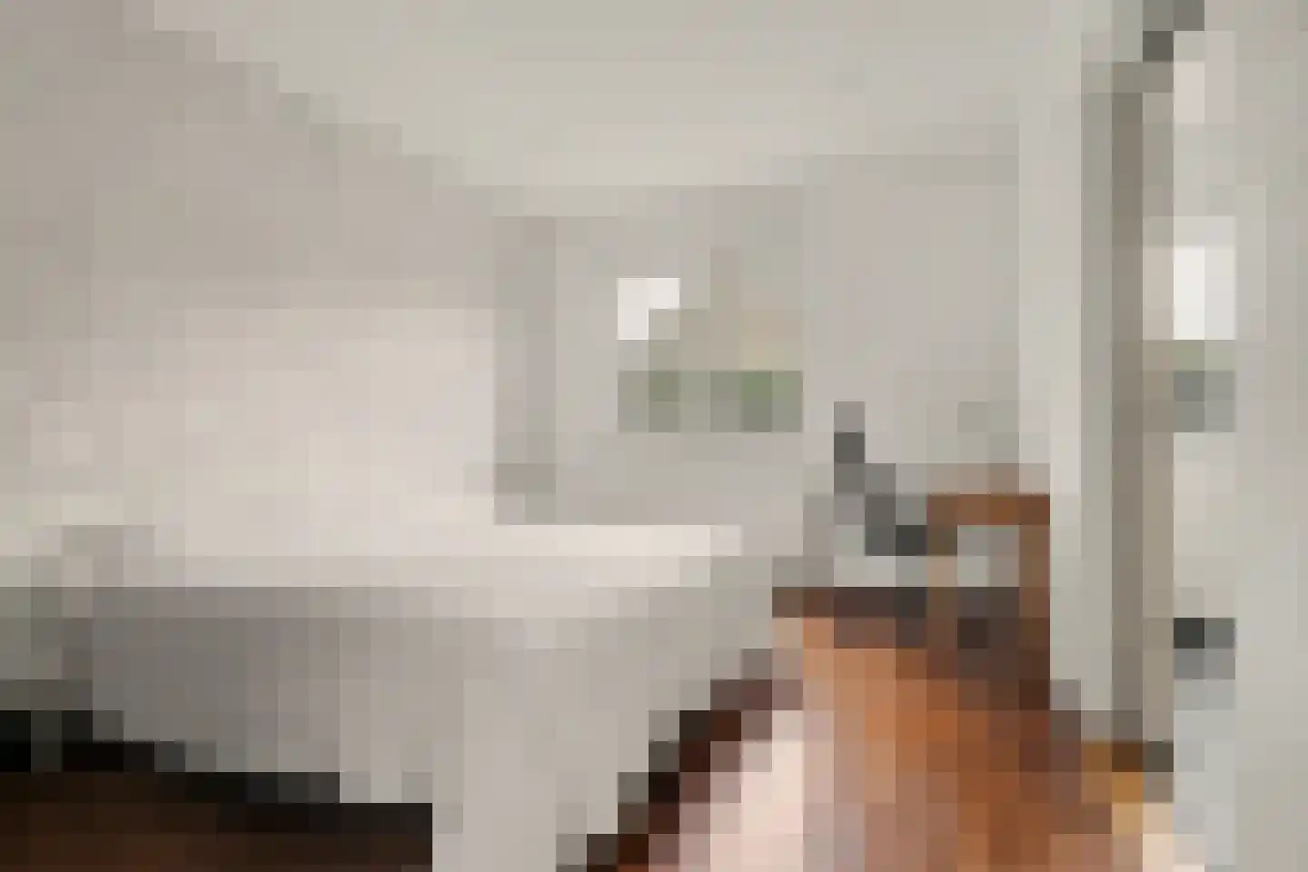 Rozenstraat 1 Putte thumbnail 17